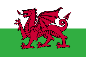 The Welsh national flag representing the presence and history of the Gallagher Clan in Wales.