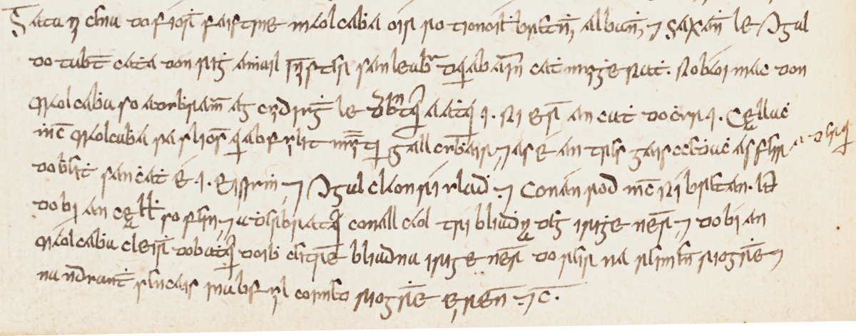 Middle Irish manuscript fragment mentioning the Gallaghers, Royal Library of Brussels